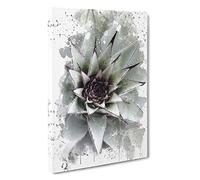 Green Succulent Cactus V3 Canvas Print for Living Room Bedroom Home Office Décor, Wall Art Picture Ready to Hang, 30 x 20 Inch (76 x 50 cm)