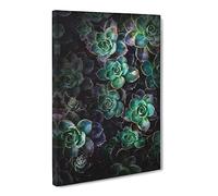 Green Succulent In Bloom Canvas Print | Gallery Wrapped 30mm Frame Wall Art | 24x16 inches | Ready to Hang | Modern Floral Picture | Living Room Bedroom Lounge Office