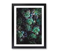 Green Succulent In Bloom Painting Modern Framed Print | A4 Black Framed Wall Art | Ready to Hang | Modern Historical Picture | Living Room Bedroom Lounge Office