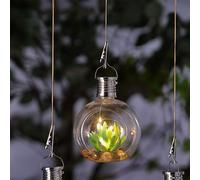 Green Succulent Solar Garden Lantern 5 Warm White LED - 13cm by Bright Garden