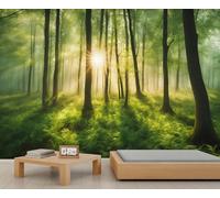 Green Sunny Forest Mural Wallpaper Foggy 3D Green Forest Wall Murals Natural Woodland Plant Scenery Wallpaper for Bedroom Living Room Children's Room 500 x 317 cm