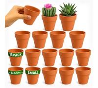 Green Thumbz 8cm Terracotta Garden Plant Pots for Seed Starters, Succulents & Plants - Pack of 16 | Size: Small Green Thumbz Terracotta Small