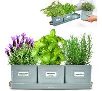 Green Thumbz Herb Planters - Durable Indoor/outdoor Garden Pot With Label & Tray