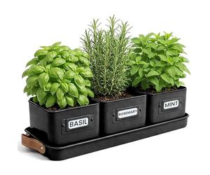 Green Thumbz Herb Pots for Kitchen Windowsill - Set of 3 Black Herb Planter Indoor with Leather Handled Tray - Ideal for an Indoor Herb Garden, Plants and Flowers - Labels Included