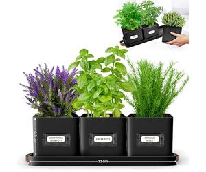 Green Thumbz Herb Pots for Kitchen Windowsill - Set of 3 Black Herb Planter Indoor with Leather Handled Tray - Ideal for an Indoor Herb Garden, Plants and Flowers - Labels Included