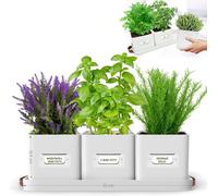 Green Thumbz Set of 3 Herb Planter Indoor with Leather Handled Tray in Warm White Green Thumbz Warm White