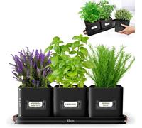 Green Thumbz Set Of 3 Herb Planters With Tray Indoor/outdoor Garden Herb Planter Pots With Labels