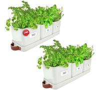 Green Thumbz Set Of 6 Herb Planters With Tray Indoor/outdoor Garden Herb Planter Pots With Labels