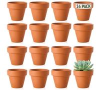 Green Thumbz Terracotta Plant Pots - 5cm x 16 Pack Small Plant Pots - Multi Purpose Mini Terracotta Pots for Plants, Flowers, Candle Making, and Painted Art