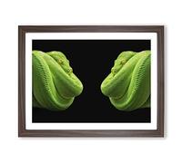 Green Tree Python Snake 2 Modern Framed Print | A3 Walnut Framed Wall Art | Ready to Hang | Modern Floral Picture | Living Room Bedroom Lounge Office