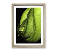Green Tree Python Snake 4 Modern Framed Print | A2 Oak Framed Wall Art | Ready to Hang | Modern Floral Picture | Living Room Bedroom Lounge Office