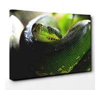 Green Tree Python Snake Canvas Print | Gallery Wrapped 30mm Frame Wall Art | 30x20 inches | Ready to Hang | Modern Animals Picture | Living Room Bedroom Lounge Office