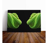Green Tree Python Snake Vol.2 Canvas Print | Gallery Wrapped 30mm Frame Wall Art | 24x16 inches | Ready to Hang | Modern Animals Picture | Living Room Bedroom Lounge Office