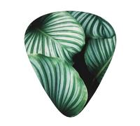 Green Tropical Plant Leaves Printed,12 Pcs Guitar Pick,3 Different Thickness Plectrums for Acoustic Guitar Bass Ukulele (0.46mm 0.96mm 0.71mm)