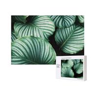 Green Tropical Plant Leaves Printed,300 Pieces Wooden Jigsaw Family Game Jigsaw Puzzles for Adults Teens Home Decor