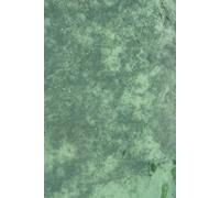Green Tropical Waters and Seabed journal: (6" x 9") (100 Pages)