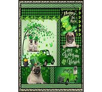 Green Truck Pugdog Happy St Patrick's Day Not Lucky Just Blessed Green Butterfly Great Gift Poster Retro Tin Sign Cafe Metal Sign Decoration Bar Club Metal Plaque 6x8 Inches
