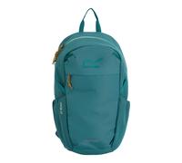 Green unisex One Size Regatta Unisex Prism 20L Backpack Green