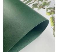 Green Vegan Leather from Olive Pomace, 100% Plant Based, Awarded, Next Generation Sustainable Material with Multi Sizes, Leathers for Art & Crafts - A4 Sample (21x29.7cm)
