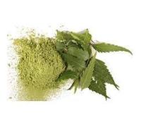 Green Velly Organic Nature NEEM GILOY Powder (Pack of 100 Gram)