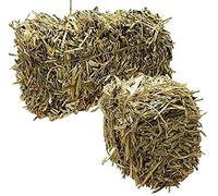 Green Vista Barley Straw Bales for Farm Pond Water Treatment - 20 to 25 Pounds - Treats 1 Acre Farm or Retention Pond for 6 Months! - Supports Water Balance - Safe for Koi, Fish and Plants