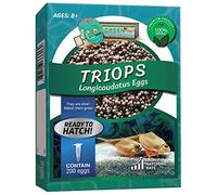 GREEN WATER FARM Triops Longicaudatus Eggs for Hatching and Culture Suitable to be Pet and Science Project (Pure 200 Eggs)