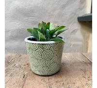Green & White Geometric Swirl Pattern Dutch Pot, Crackle Glazed Planter, Dutch Pot Cover, Geometric Patterned Plant Pot, Succulent Pot, Ceramic Planter, Indoor House Plant Pot Cover, Plant Lovers Gift