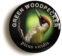 GREEN WOODPECKER BADGE BUTTON PIN (Size is 1inch/25mm diameter) BIRD WATCHING