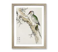 Green Woodpecker By Numata Kashu Asian Japanese Framed Print | A2 Oak Framed Wall Art | Ready to Hang | Asian Animal Picture | Living Room Bedroom Lounge Office