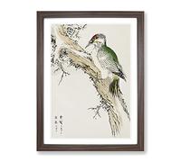Green Woodpecker By Numata Kashu Asian Japanese Framed Print | A4 Walnut Framed Wall Art | Ready to Hang | Asian Animal Picture | Living Room Bedroom Lounge Office