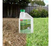 Greena All-Natural Lawn Drought Treatment 500Ml - Pack Of 2