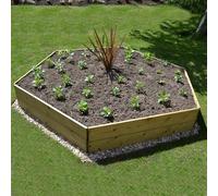 Greena Hexagonal Timber Raised Garden Planters For Outdoor Plants Vegetables Herbs Flowers Renewable Scandinavian Pine Pressure Treated For Long Product Life Made in the UK (120(L) cm x 30(H) cm)