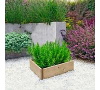 Greena Triangular Wooden Raised Bed 15 Cm High, 60Cm Each Side