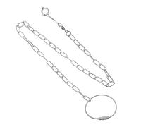 GREENADSCAPE Pet Bird Leash Stainless Steel Flying Chain with Swivel Buckle for Parrots Parakeets and Lovebirds Outdoor Training Accessory for Safe Exploration and Freedom