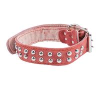 GREENADSCAPE Pet Neck Collar Fashionable Design Dog Collar for 8 Weeks Old Kitten Wear-resistant and Comfortable for Daily Use Photo Sessions and Special Events