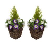 Greenbrokers 2 X Artificial Dark Purple & White Petunias Rattan Patio Planters