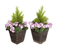 GreenBrokers 2X Artificial Rattan Patio Planters With Purple Geraniums And Cedar Topiary