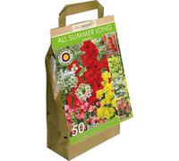 GreenBrokers 50 All Summer Long Vibrant Flowering Bulbs - Mixed Coloured Bulbs, Big Value Pack, Eco Packaging, Bee & Butterfly Friendly