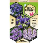 GreenBrokers 50 Bee & Butterfly Summer Bulb Collection Blue Bulb Varieties Eco Packaging Plant Now Ready To Bloom In Summer