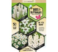 GreenBrokers 50 Bee & Butterfly Summer Bulb Collection White Bulb Varieties Eco Packaging Plant Now Ready To Bloom In Summer