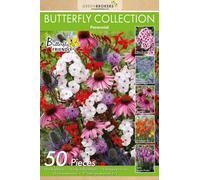 GreenBrokers 50 Butterfly Perennial Summer Bulb Collection Mixed Bulb Varieties Eco Packaging Plant Now Ready To Bloom In Summer