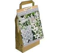 GreenBrokers 50 White Summer Flowering Bulbs - Mixed Varieties, Bee & Butterfly Friendly, Eco Packaging, Premium Quality Dutch Bulbs