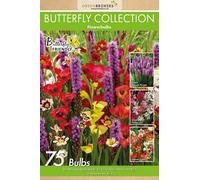 GreenBrokers 75 Butterfly Summer Bulb Collection Mixed Bulb Varieties Eco Packaging Plant Now Ready To Bloom In Summer