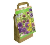 GreenBrokers Allium Bulbs Collection-Mixed Colours (50 Bulbs) Bee Friendly