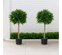 GreenBrokers Artificial Bay Laurel Trees (Set Of 2) With Real Wood Trunk, Natural Leaf And Brown Berries, 3Ft/90 Cm