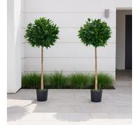 Greenbrokers Artificial Bay Trees (Set Of 2) With Real Wood Trunk, Natural Leaf And Brown Berries 4Ft/120 Cm