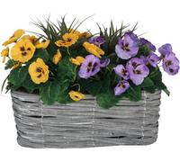 GreenBrokers Artificial Grey Rattan Window Box With Purple & Yellow Pansies And Decorative Grasses