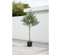 GreenBrokers Artificial Olive Tree With Real Wood Trunk, Premium Quality Natural Appearance, 5Ft/150 Cm