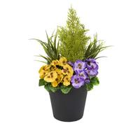 GreenBrokers Artificial Purple And Yellow Faux Silk Pansies With Grasses/conifer Topiary In A Black Pot Patio Planter 60Cm/23.5In