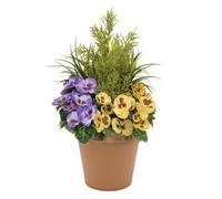 GreenBrokers Artificial Purple And Yellow Faux Silk Pansies With Grasses/conifer Topiary In A Terracotta Coloured Pot Patio Planter60Cm/23.5In